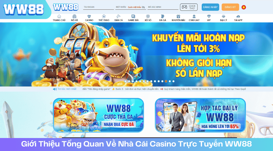 Giới Thiệu Tổng Quan Về Nhà Cái Casino Trực Tuyến WW88 - ww88tv.us